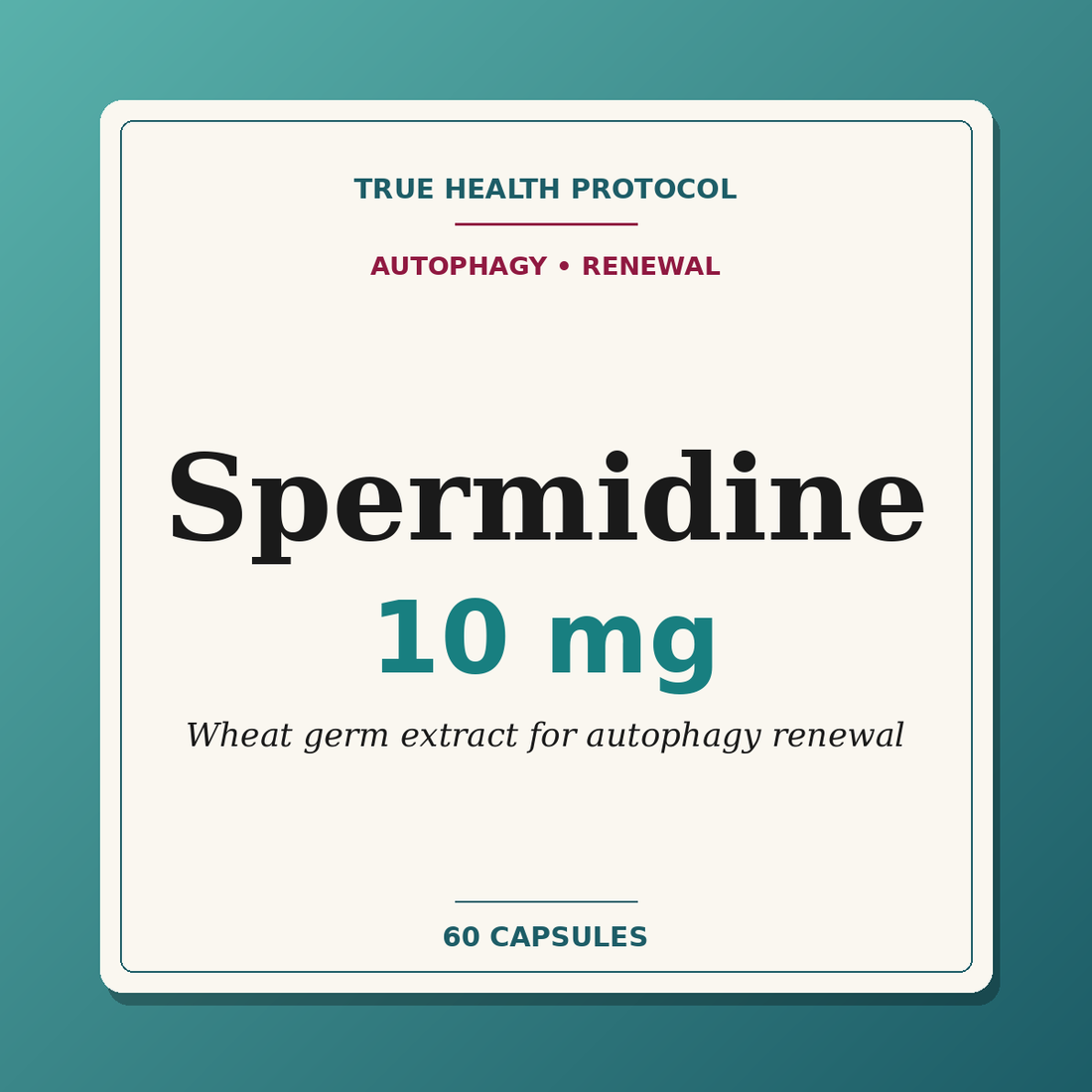 Spermidine 10mg wheat germ extract for autophagy and cellular renewal — True Health Protocol