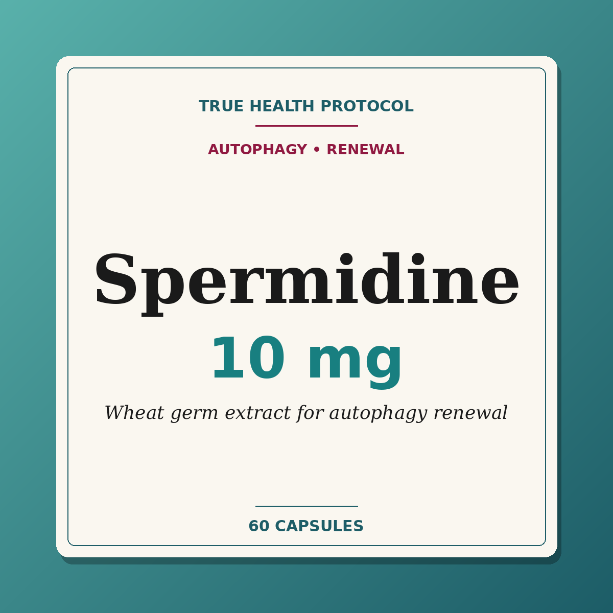 Spermidine 10mg wheat germ extract for autophagy and cellular renewal — True Health Protocol