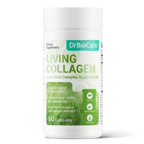 Multi Collagen Complex | 5 Types (I, II, III, V, X) | Skin, Joints, Gut & Hair | 240 Capsules