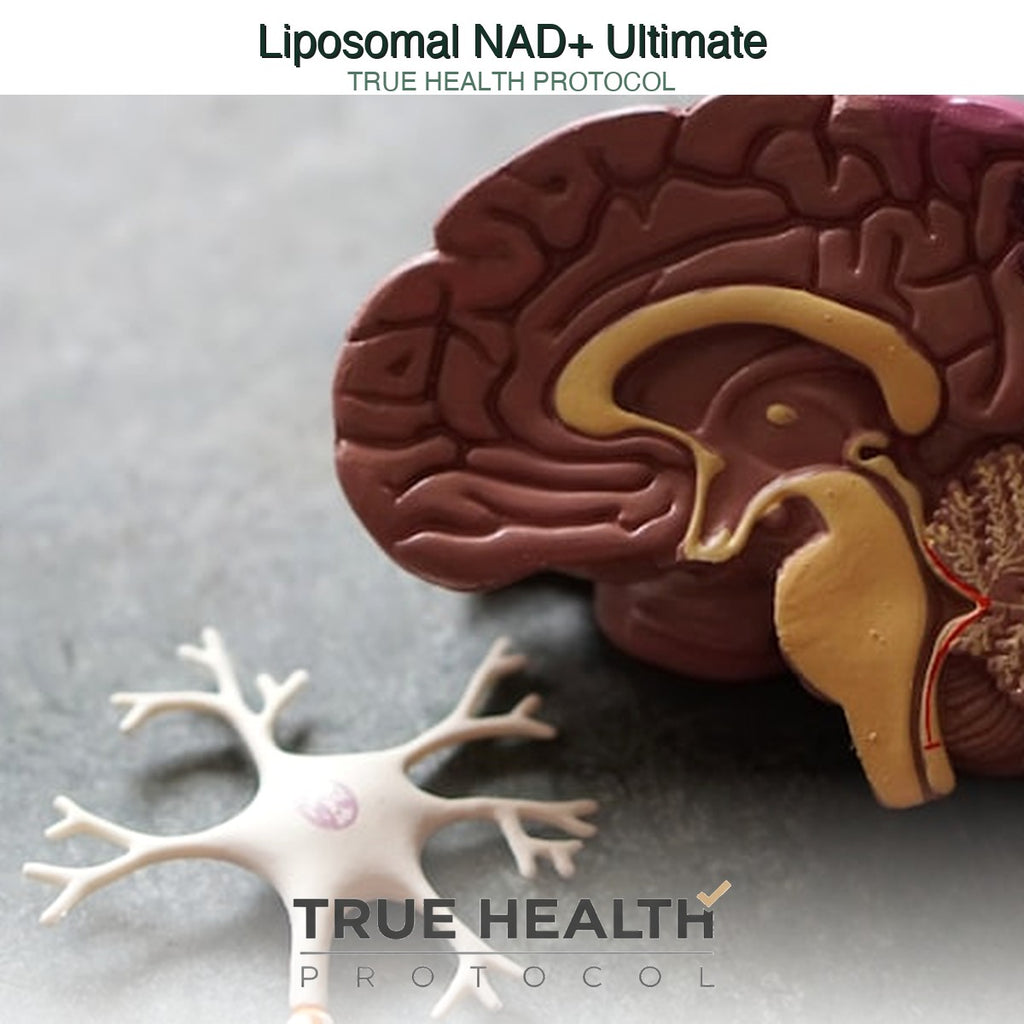 Liposomal NAD+ Ultimate 1000mg